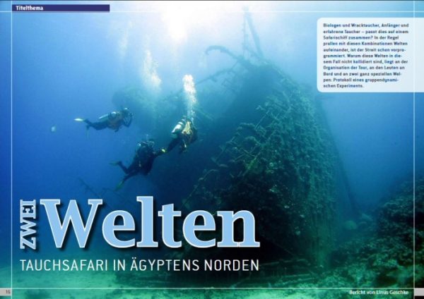 diveinside 40