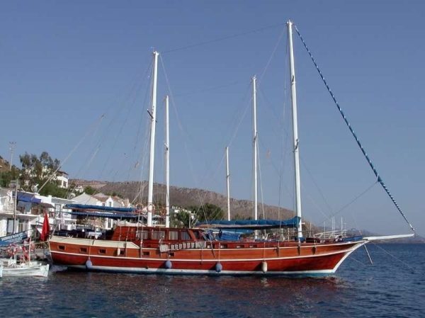 Sahinoglu