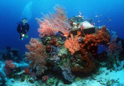 Pondok unter Wasser