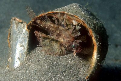 Pondok unter Wasser