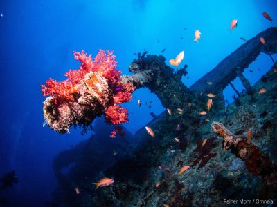 Thistlegorm