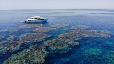 Blue Seas