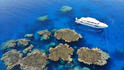 Blue Seas