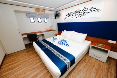 Lower Deck-Cabin